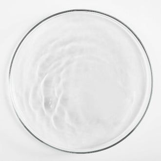 Sodium PCA Sodium PCA