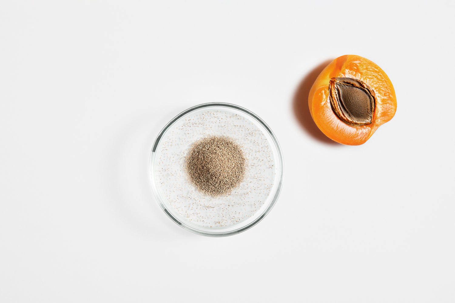 Granules de noyaux d'abricots