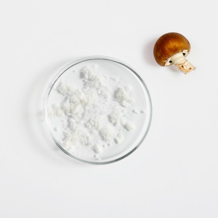 Acetylglucosamine