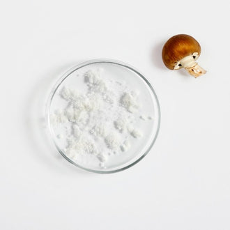 Acétyl Glucosamine