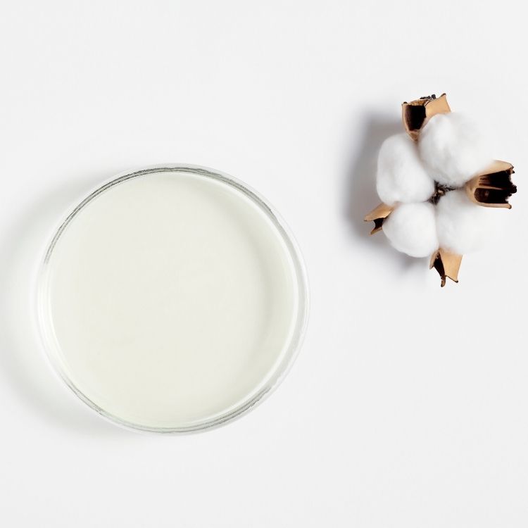 Coton (Huile de)