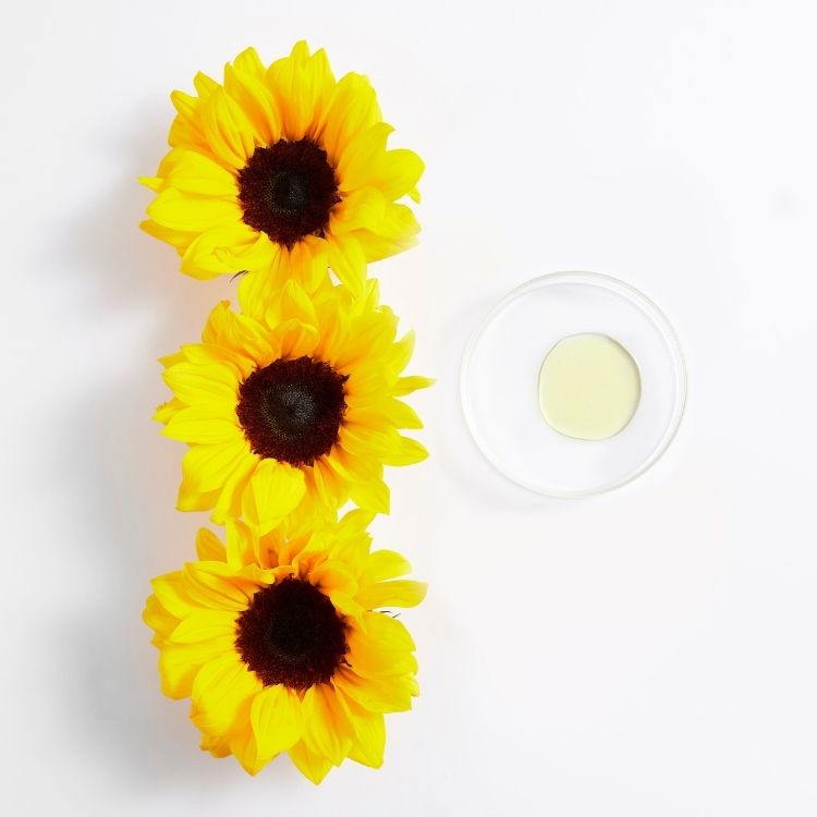 Tournesol (Huile de)