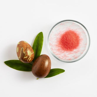 Jojoba (Micro-grains de)