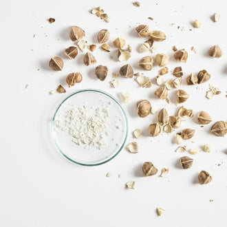 Moringa (Extrait de)