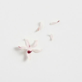 Muguet du Japon (Extrait de)